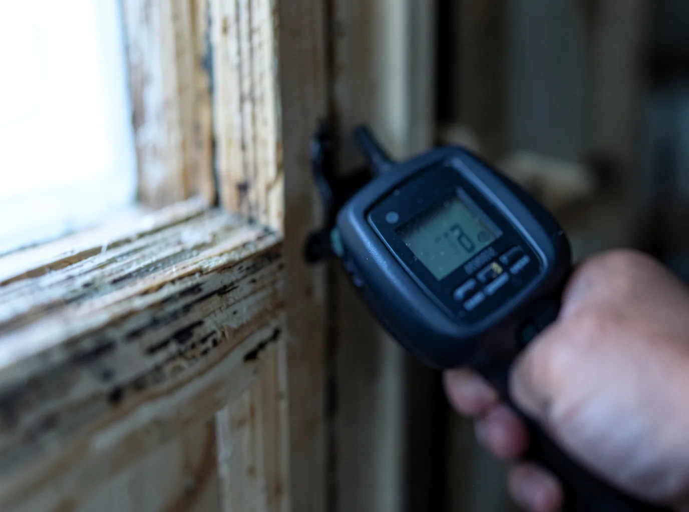 Commercial Water Damage Restoration in Jackson, TN